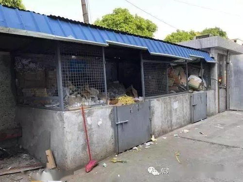 废品站再做这类回收，就要摊上大事了！环境局提醒 一般工业固废未按要求存放，最低罚款10万元，严重的还要拘留