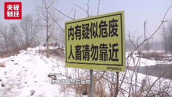 长江江滩惊现数千吨工业垃圾 固体废物治理再响警钟