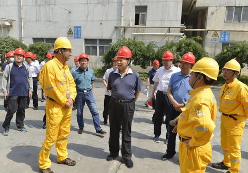 河南省人大常委会开展固体废物污染环境防治执法检查暨代表专题调研 聚焦洛阳污染治理成效